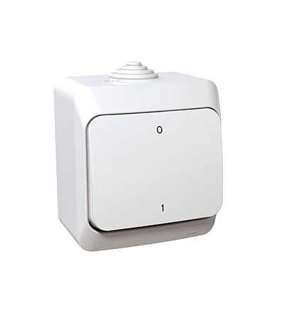 WDE000520 Cedar Plus, spínač. dvojpólový, 16AX, bílá, Schneider Electric