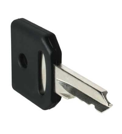 ZBG455 Sada 2 klíčů 455, Schneider Electric