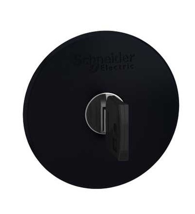 ZB4BS22 Ovl. hlavice s hřibovým knoflíkem, odblokovat klíčem, černá, Schneider Electric