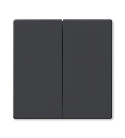 ABB Kryt pro Friends of Hue smart switch 2CKA006730A0133