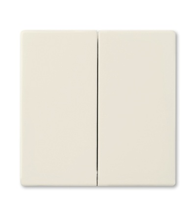 ABB Kryt pro Friends of Hue smart switch 2CKA006730A0134
