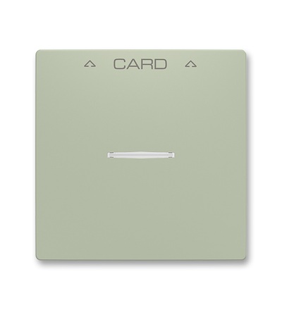 ABB Kryt spínače kartového 3559T-A00700 243