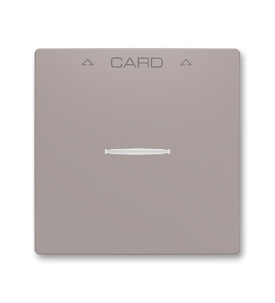 ABB Kryt spínače kartového 3559T-A00700 244