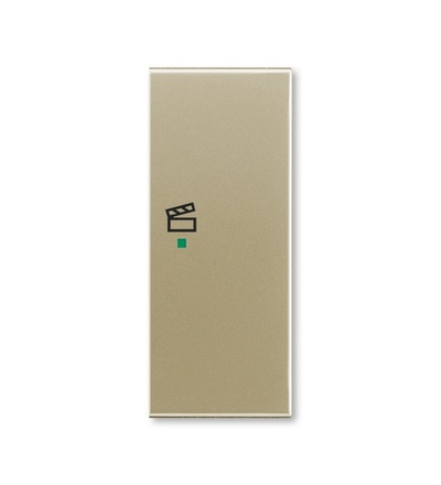 ABB Kryt 2násobný pravý, symbol „scény“ 6220E-A02203 33