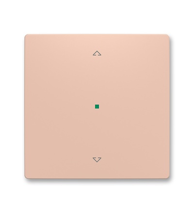 ABB Kryt 1násobný, symbol 