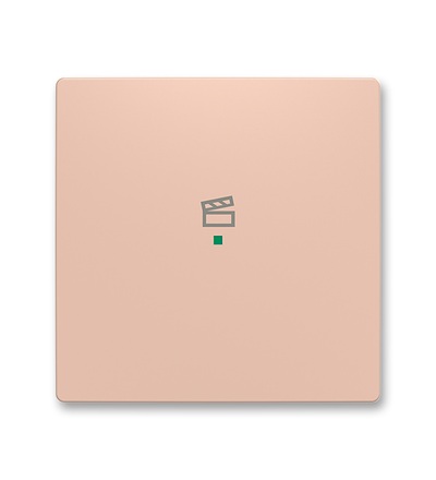 ABB Kryt 1násobný, symbol 