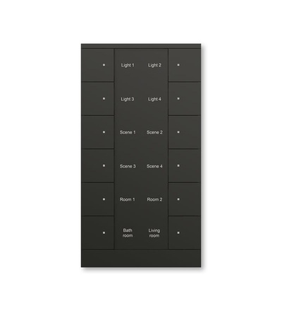 ABB Tenton prvek ovládací 12násobný 2CKA006330A0079