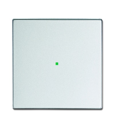 ABB Kryt 1násobný, bez potisku 2CKA006220A0138