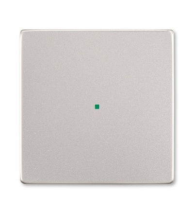 ABB Kryt 1násobný, bez potisku 2CKA006220A0533