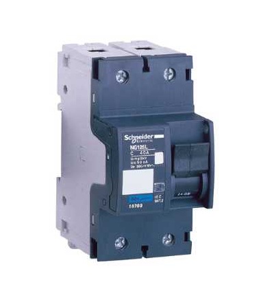 18791 NG125, jistič, NG125L, 2p, 25A, char. C, Schneider Electric