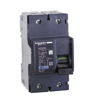 18621 NG125, jistič, NG125N, 2p, 10A, char. C, Schneider Electric