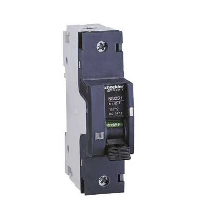 18706 NG125, jistič, NG125H, 1p, 16A, char. C, Schneider Electric
