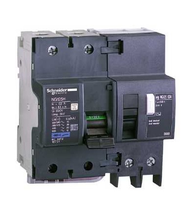 18721 NG125, jistič, NG125H, 2p, 63A, char. C, Schneider Electric