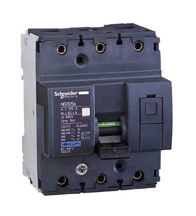 18605 NG125, jistič, NG125A, 3p, 125A, char. C, Schneider Electric