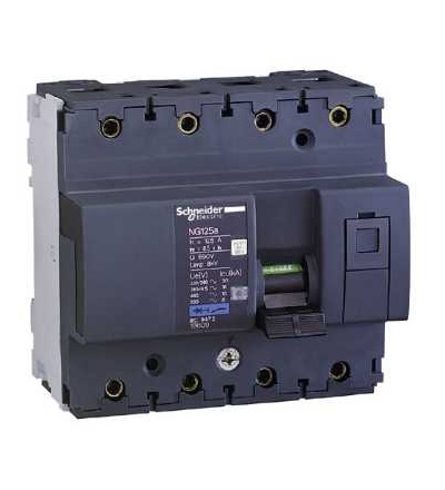 18609 NG125, jistič, NG125A, 4p, 125A, char. C, Schneider Electric