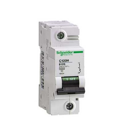 18492 Modulární jistič C120H, 1p, 125A, char. D, Schneider Electric