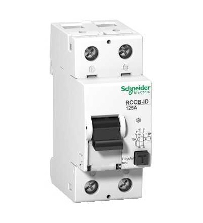 16971 Proudový chránič ID, 2p, 125A, třída A 300mA, Schneider Electric