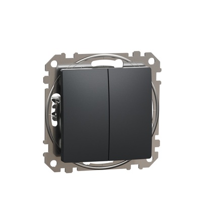 SDD114118 Tlačítko dvojité 1/0+1/0, Antracit, Schneider electric