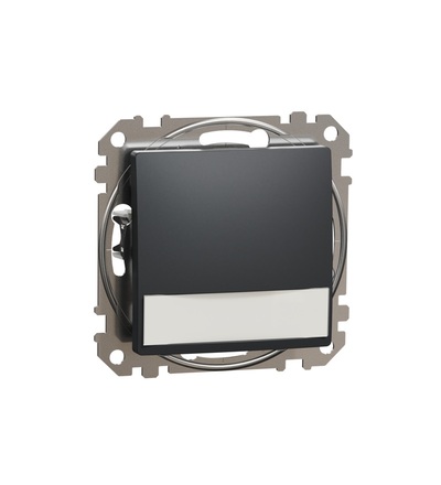 SDD114143L Tlačítko 12V orientační kontrolka a popisové pole, Antracit, Schneider electric