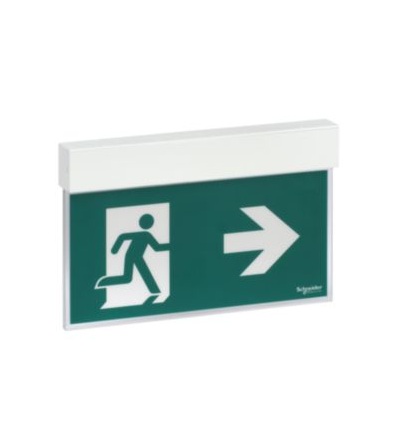 OVA38250 Exiway Easysign, značka nouzového východu, IP40, 24m, NM-M, 1,5h,Schneider Electric