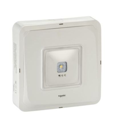 OVA48951 Exiway Smartbeam IP65, 200lm, 5lux, 3h, DALI, DiCube, LiFePO4, povrchové, zdůrazněná místa,Schneider Electric