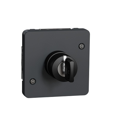 MUR35061 Spínač na klíč se 3 pozicemi, IP55, antracit, Schneider Electric