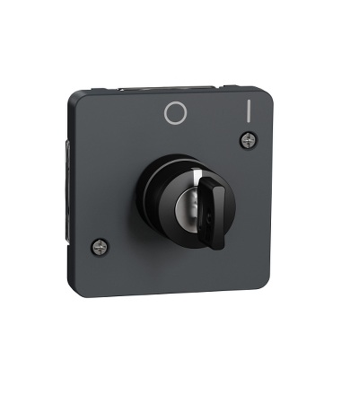 MUR35062 Spínač na klíč se 2 pozicemi, IP55, antracit, Schneider Electric