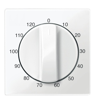 MTN567519 Centrální deska pro mechanismus časového spínače, 120 min., System M, polar, Schneider Electric